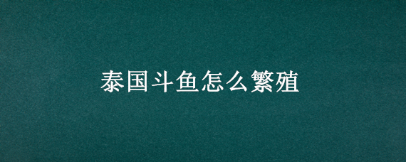 泰国斗鱼怎么繁殖