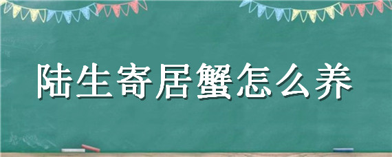 陆生寄居蟹怎么养