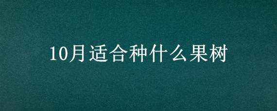 10月适合种什么果树