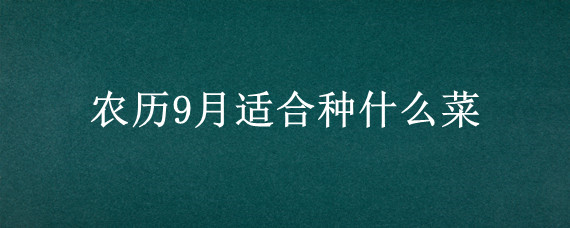 农历9月适合种什么菜