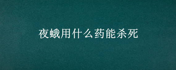 夜蛾用什么药能杀死