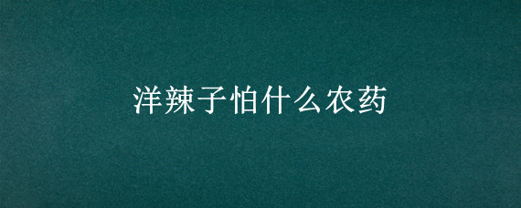 洋辣子怕什么农药