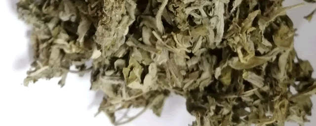 艾草精油的功效与作用