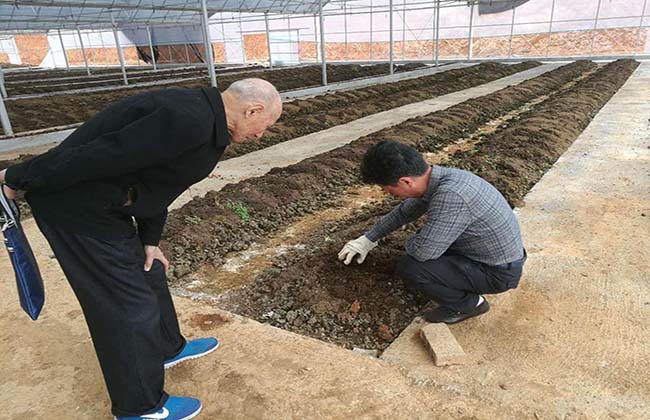 室内蚯蚓养殖技术 室内外养殖效果更佳