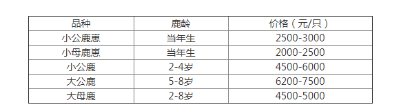 梅花鹿幼崽价格