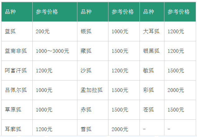 宠物狐狸的价格行情