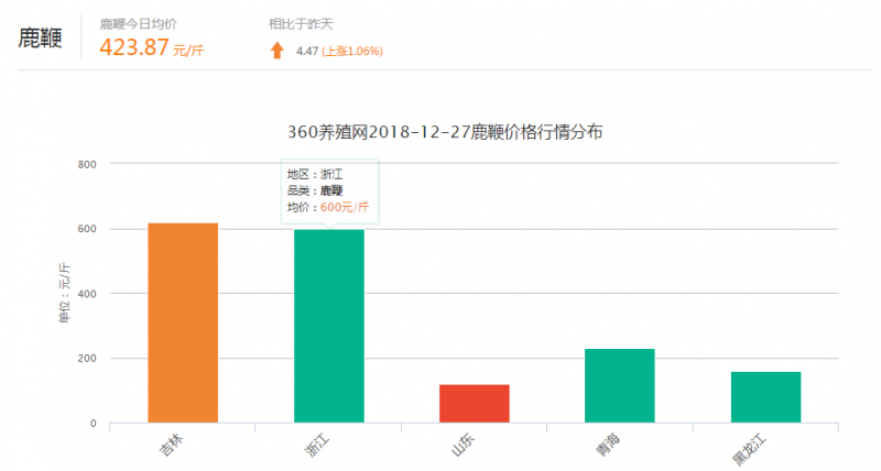 梅花鹿鹿鞭行情价格