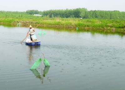 养殖小龙虾怎么养好