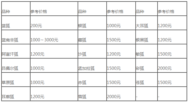 狐狸价格多少钱？