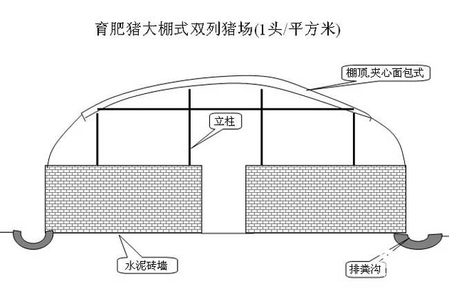 农村小型养猪场设计图及注意事项