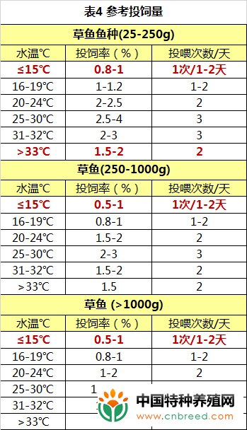 草鱼养殖安全过冬注意事项(2)