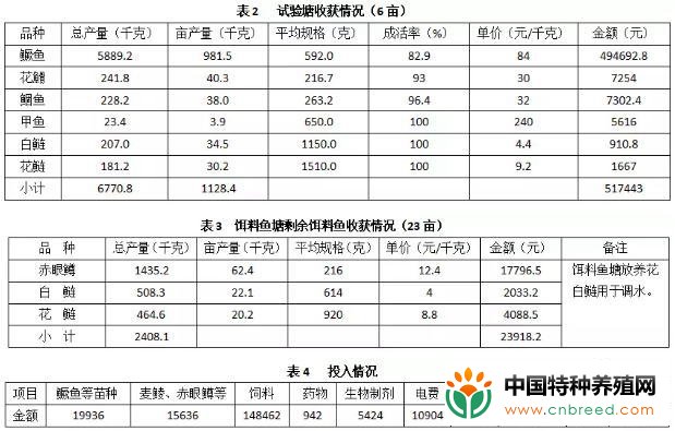 鳜鱼反季节养殖价格高，创新养殖模式，超详细养殖技术分享！(4)