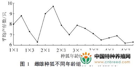 人工饲养的北极狐不同年龄阶段种狐的繁殖能力(4)