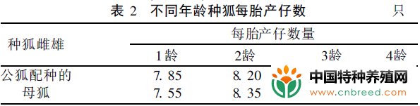 人工饲养的北极狐不同年龄阶段种狐的繁殖能力(3)