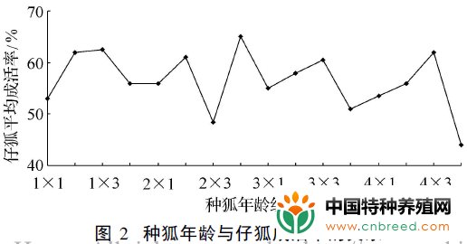 人工饲养的北极狐不同年龄阶段种狐的繁殖能力(4)