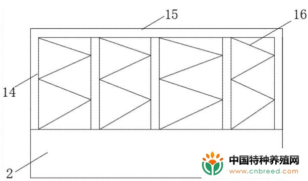 泥鳅大棚养殖新技术你知道哪些？(4)