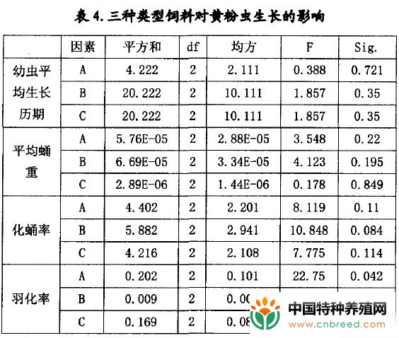 黄粉虫饲料配方筛选(4)