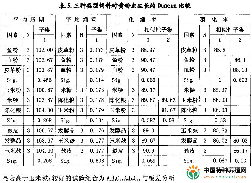 黄粉虫饲料配方筛选(5)