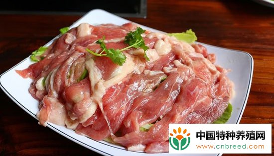 鸵鸟肉怎么吃