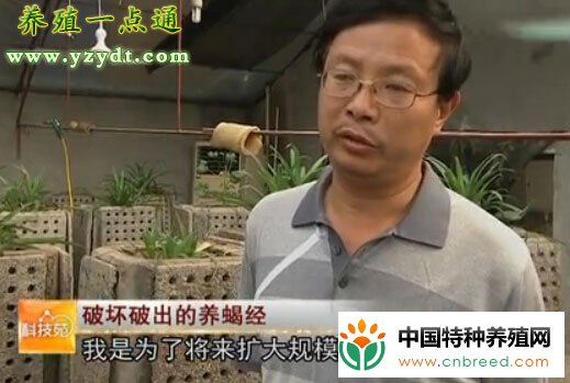 蝎子养殖经来自破坏性实验，自动化养蝎是方向(3)