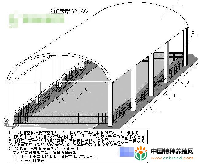 现代新式鸭棚的图片大全