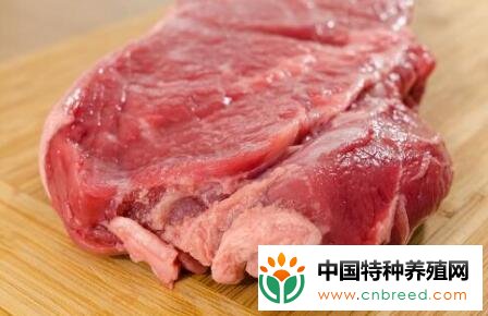 现在鲁西黄牛肉市场多少钱一斤？