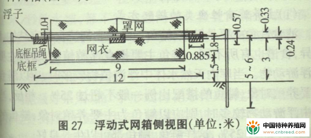 网箱养鱼的三种设置方式