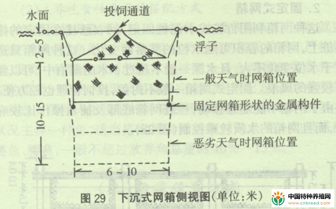 网箱养鱼的三种设置方式