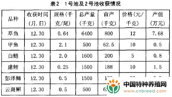 草鱼反季节高产高效养殖试验(3)