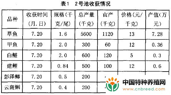 草鱼反季节高产高效养殖试验(3)