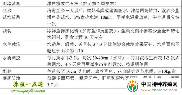 杂交黑鱼人工养殖技术经验总结(4)