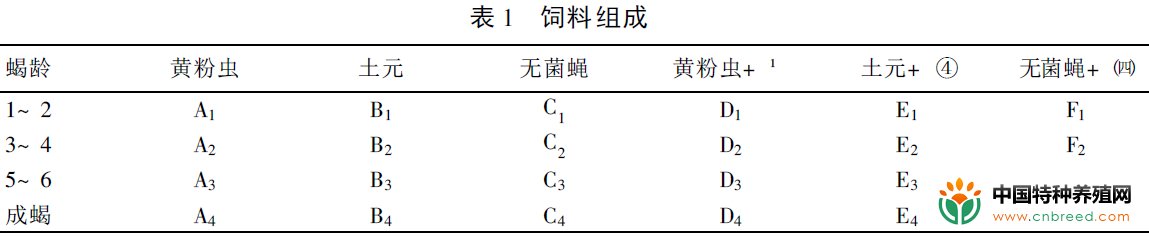 不同动植物配合饲料饲喂蝎子效果试验