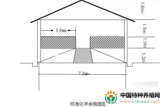 南方楼式和现代式肉羊养殖场设计图纸大全(2)