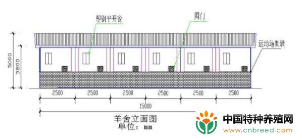 南方楼式和现代式肉羊养殖场设计图纸大全(2)