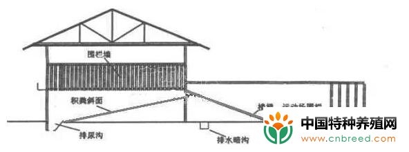 南方楼式和现代式肉羊养殖场设计图纸大全(2)