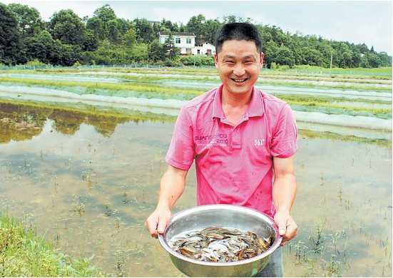 泥鳅养殖过程中科学投喂的重要性