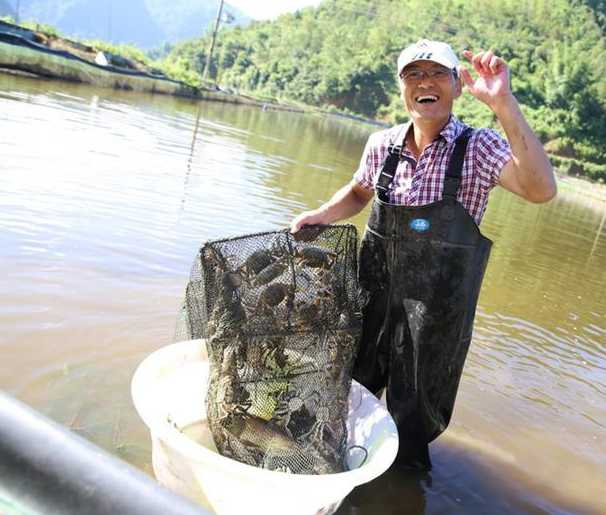 秋冬季节大闸蟹养殖池塘管理工作的三个重点