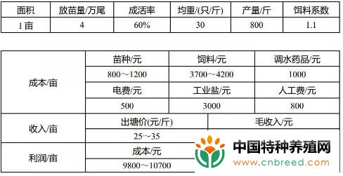 南美白对虾是淡水虾吗？(3)