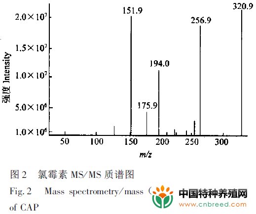 对虾中氯霉素残留的分析方法研究(3)