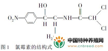 对虾中氯霉素残留的分析方法研究(2)