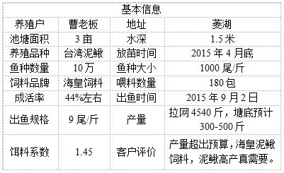 海皇泥鳅配合饲料 养殖泥鳅高产真需要