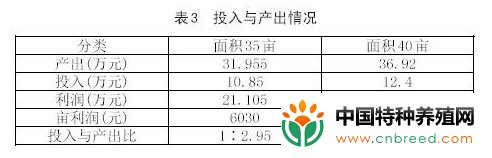 亩产超3000元！盘点小龙虾养殖模式，混养、套养、轮作效益高(4)