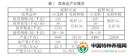 亩产超3000元！盘点小龙虾养殖模式，混养、套养、轮作效益高(3)