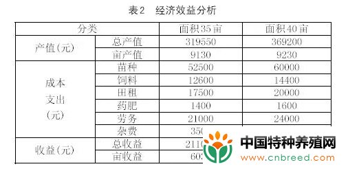 亩产超3000元！盘点小龙虾养殖模式，混养、套养、轮作效益高(4)