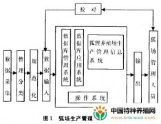 狐狸养殖场生产管理信息系统的设计与应用