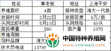 简易小棚模式，南美白对虾养殖盈利率90%，亩利润最高超2万(2)