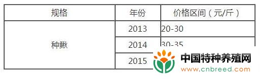 台湾泥鳅养殖是骗局还是致富项目？(6)