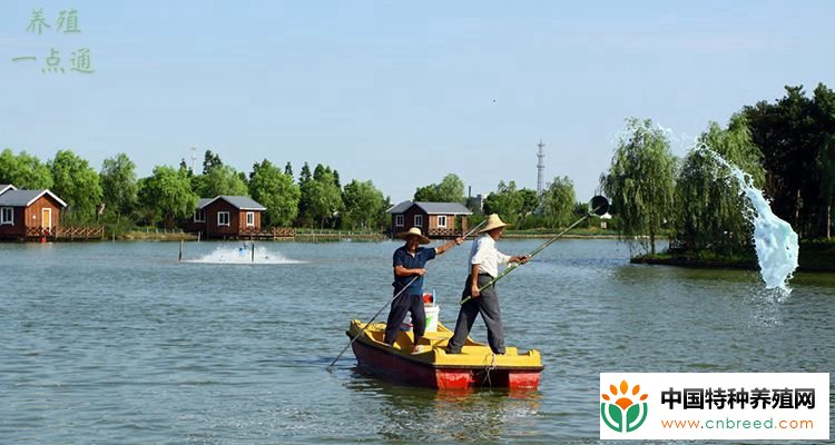 水产养殖中水质监测和调节要点，水质调节就像空气保护