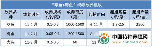 草鱼+鲫鱼混养模式，亩利润超5000元