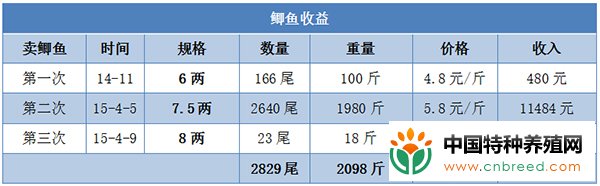 草鱼+鲫鱼混养模式，亩利润超5000元(3)